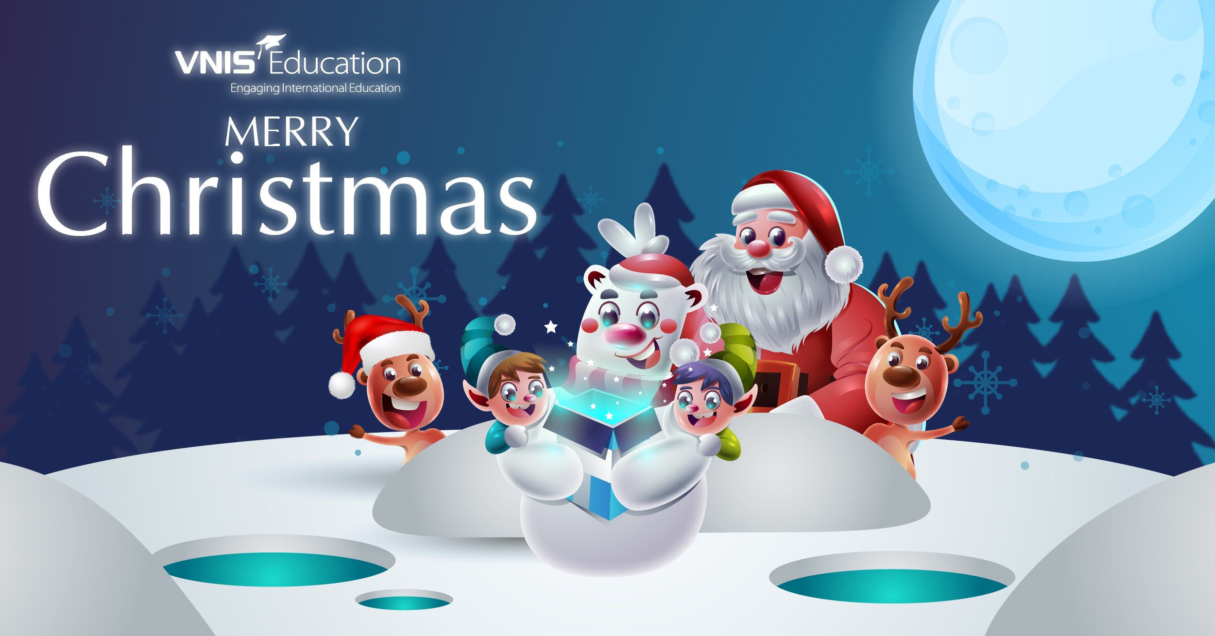 VNIS Group Chúc Mừng Mùa Giáng Sinh và Năm Mới 2021!