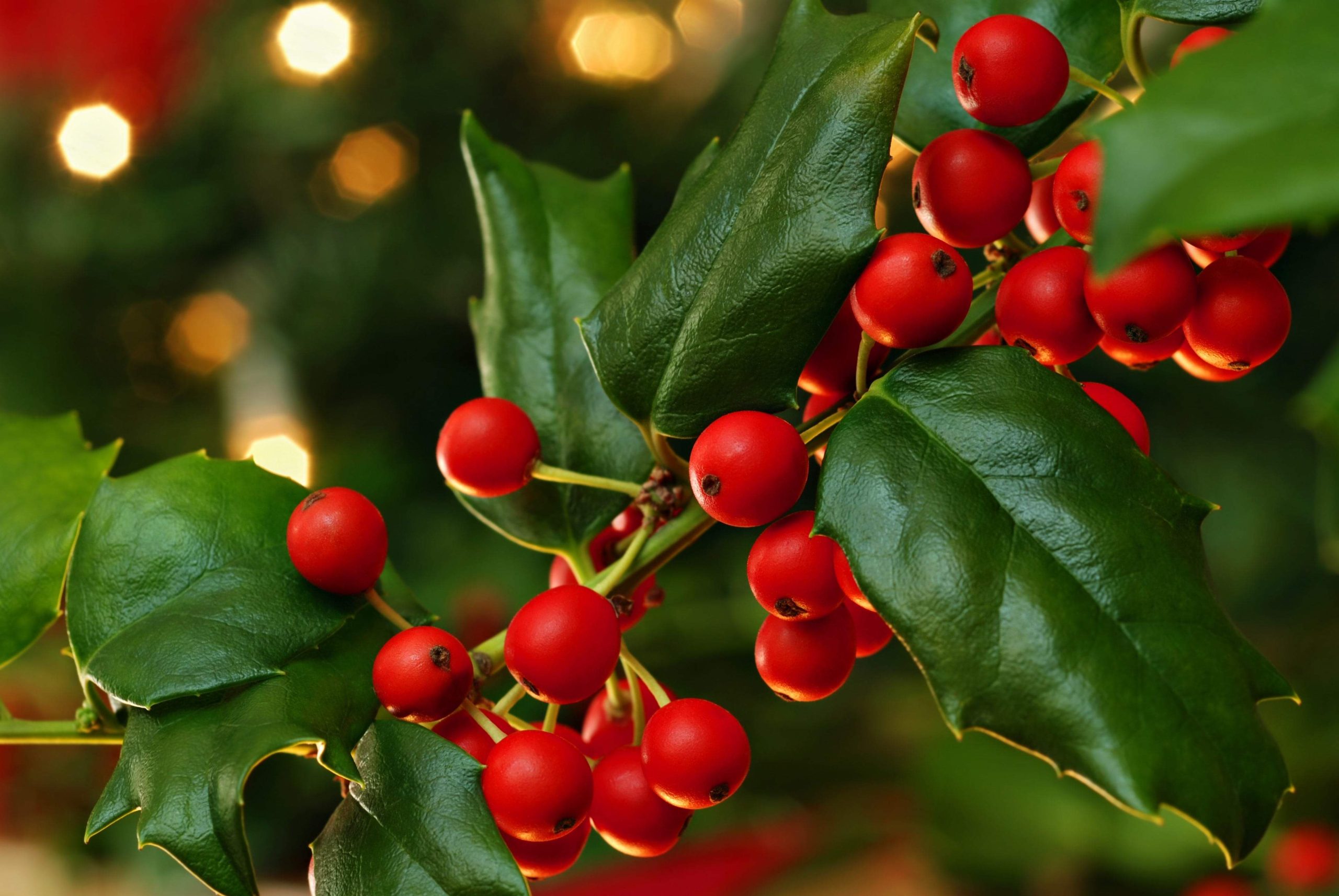 The meaning behind Christmas traditions you didn’t know about