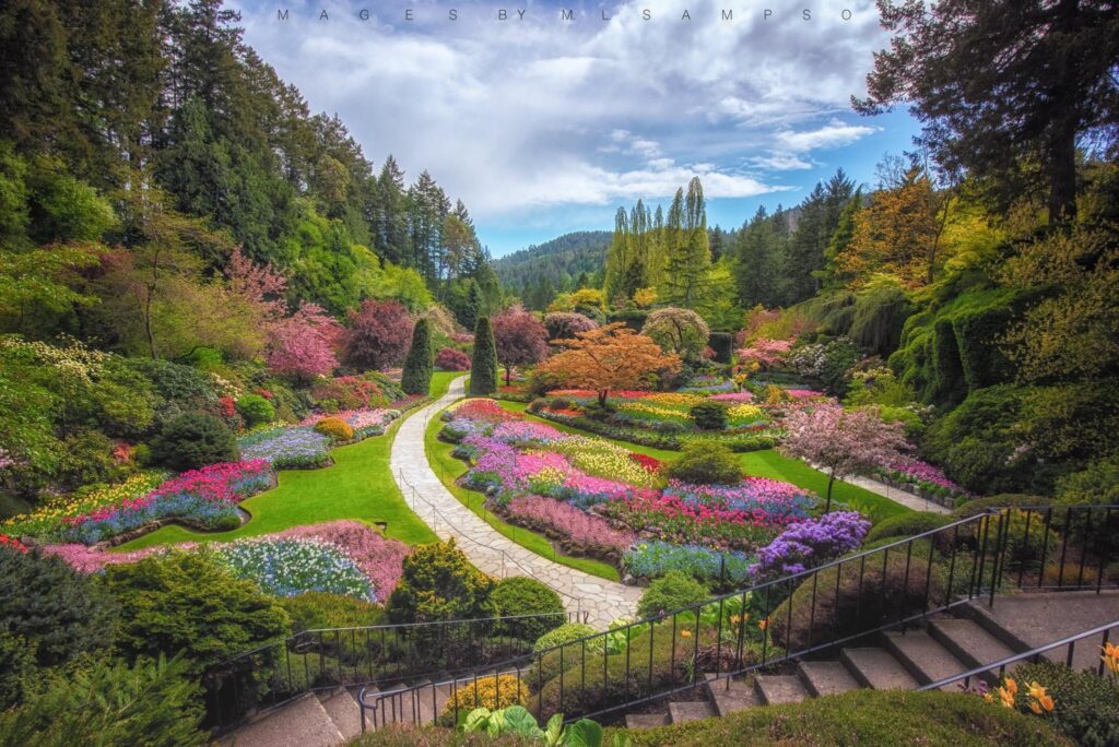 Ghé thăm vườn Butchart Gardens