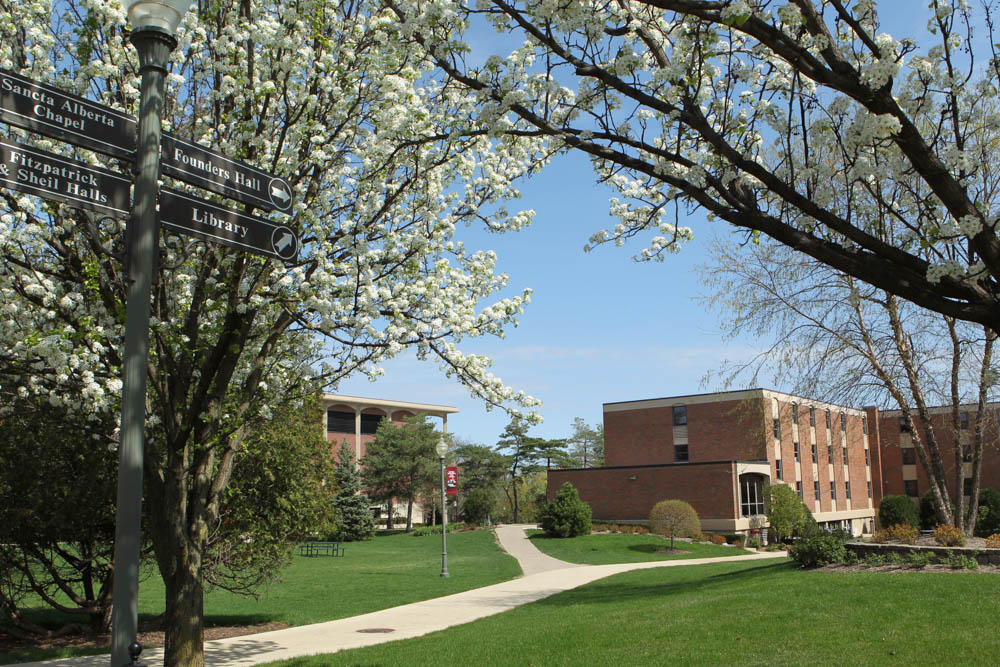 Lewis University 3