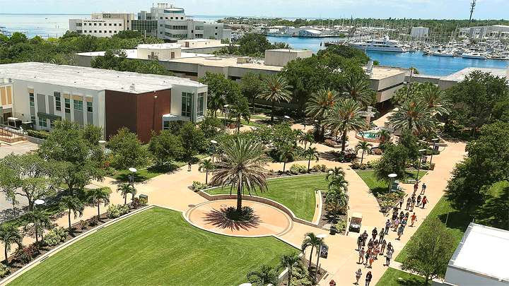 USF