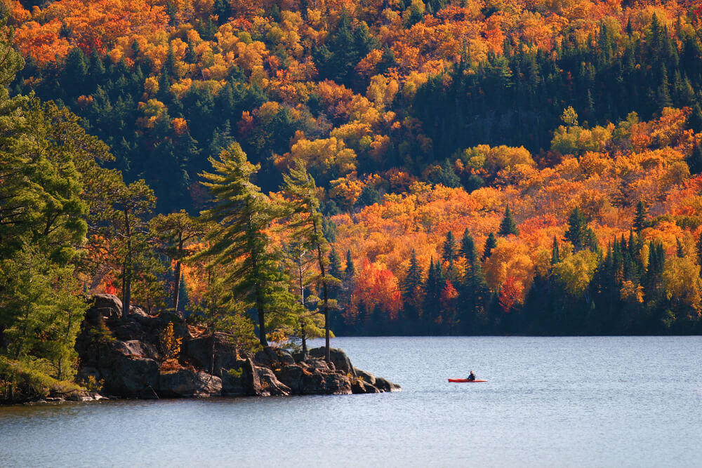 Algonquin Park