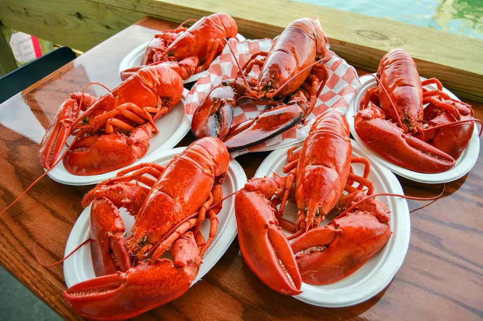 Tận hưởng hương vị đặc sản của Maine