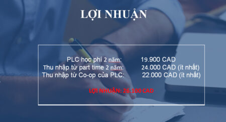 sinh viên không chỉ không phải chi trả học phí mà còn có thể kiếm được tiền tới 26,100 CAD từ chương trình thực tập này.