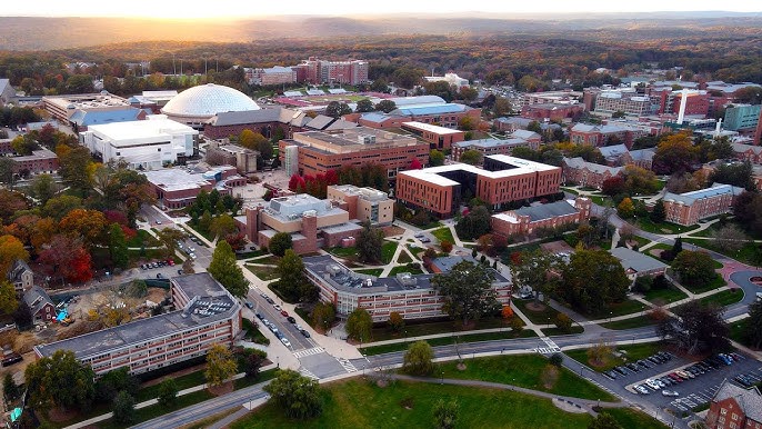 Phát Triển Sự Nghiệp Toàn Cầu với Thạc Sĩ Kinh Doanh Chuẩn STEM tại UConn
