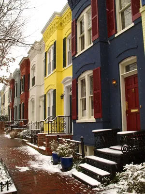 Rowhouses block Washington DC
