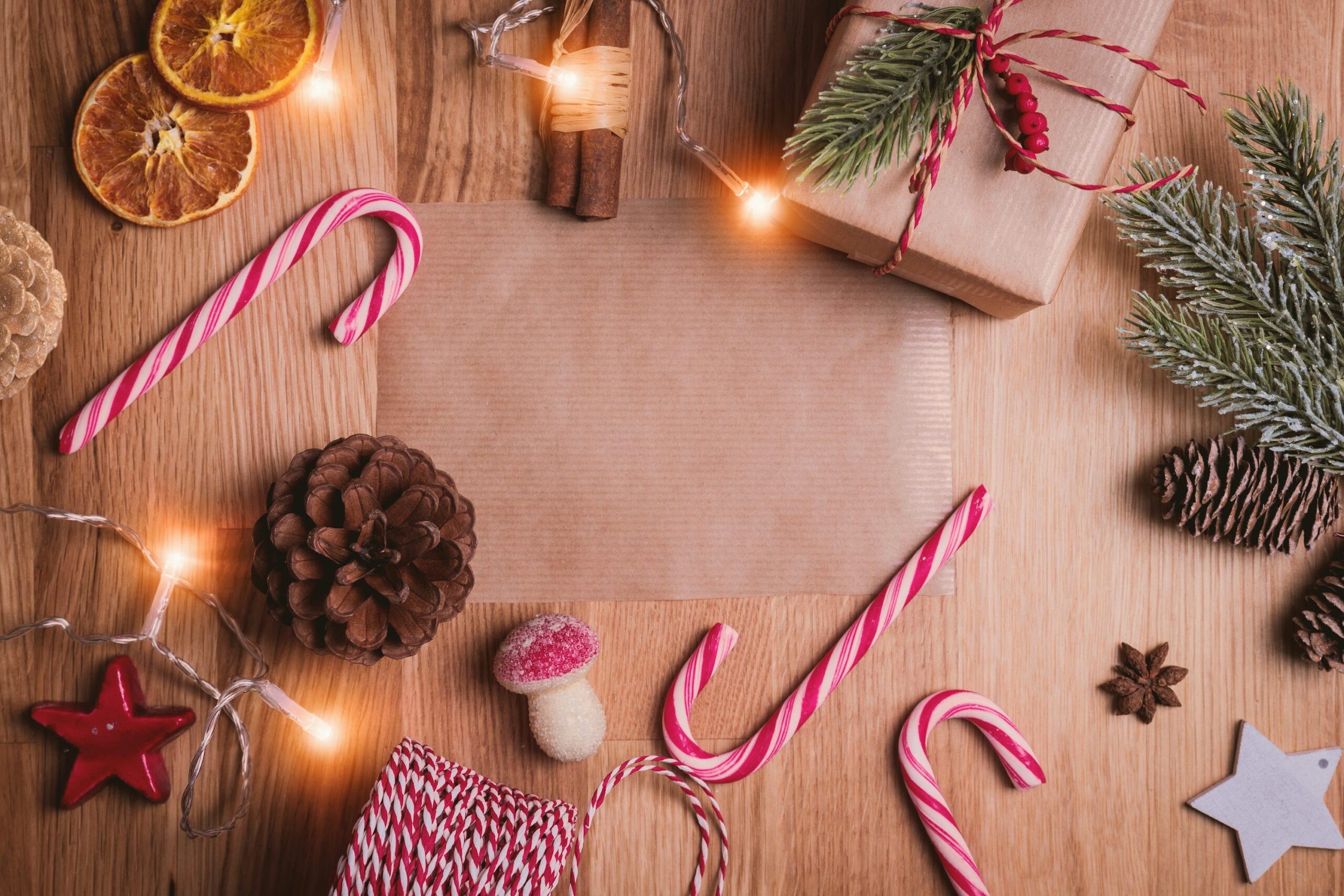 Merry Christmas from VNIS Education!